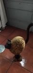Vendo gato de decoração