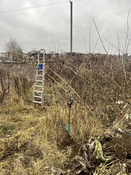 Теплиця арочна або ангар 20#8 метрів