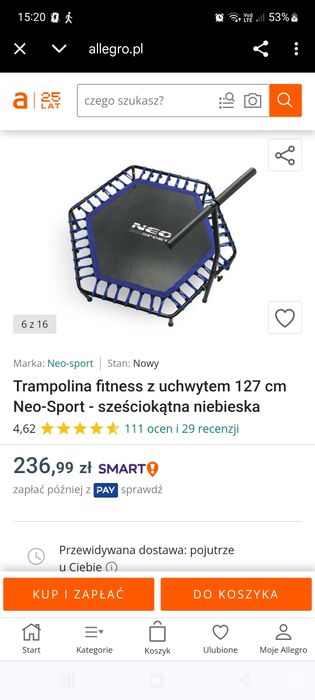 Trampolina fitness