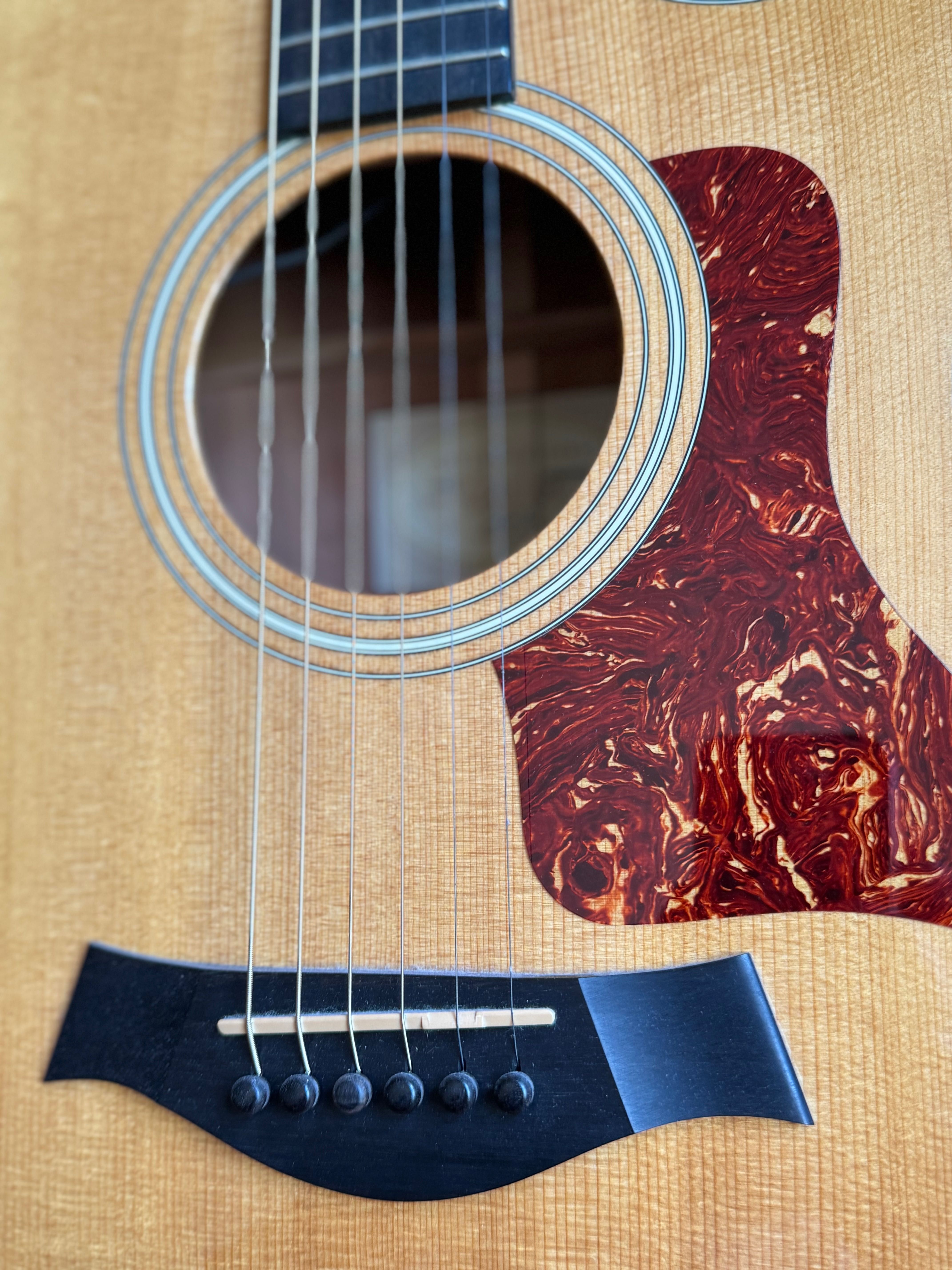 Taylor 314ce Studio Grand Auditorium Eletroacústica, Natural