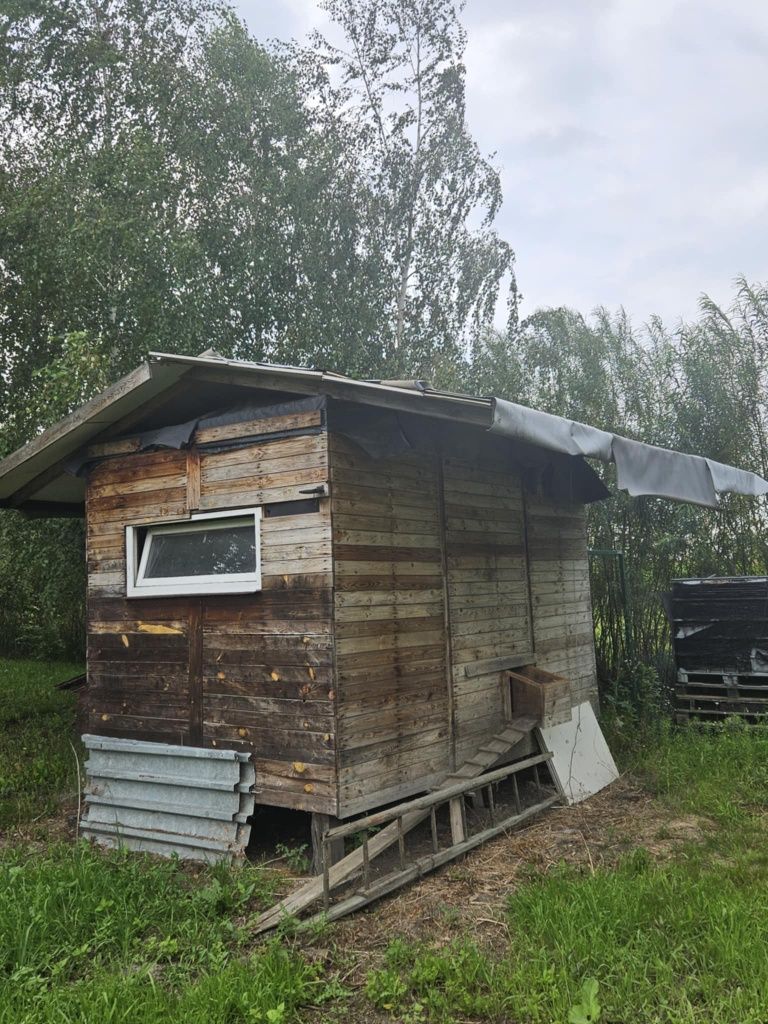 Drewniany kurnik