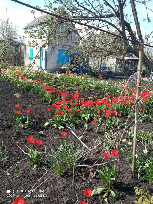 Продам дачу 6×4 коп.Железнодорожник