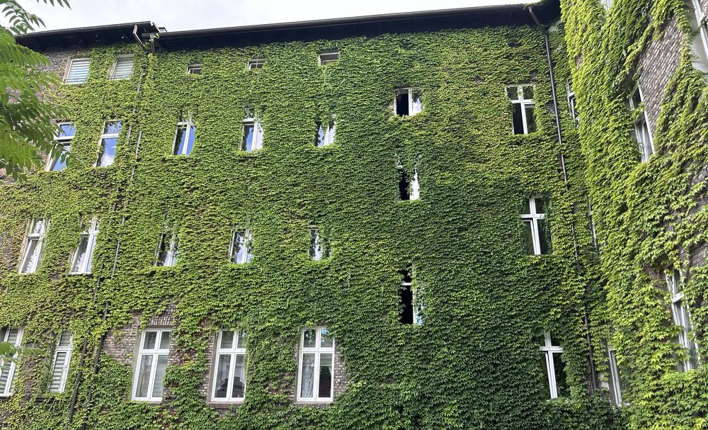 Mieszkanie  Galeria. Centrum (100zł -3 h) Na godziny. i doby.