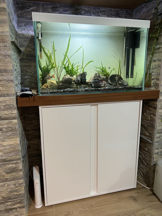 Aquario + móvel 80x40x50
