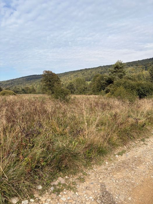 Do sprzedania działka budowlana 8 ar