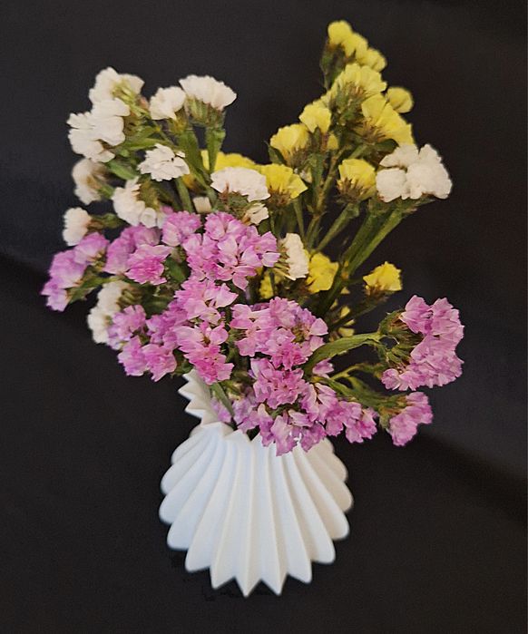 Vaso rai impressão 3D