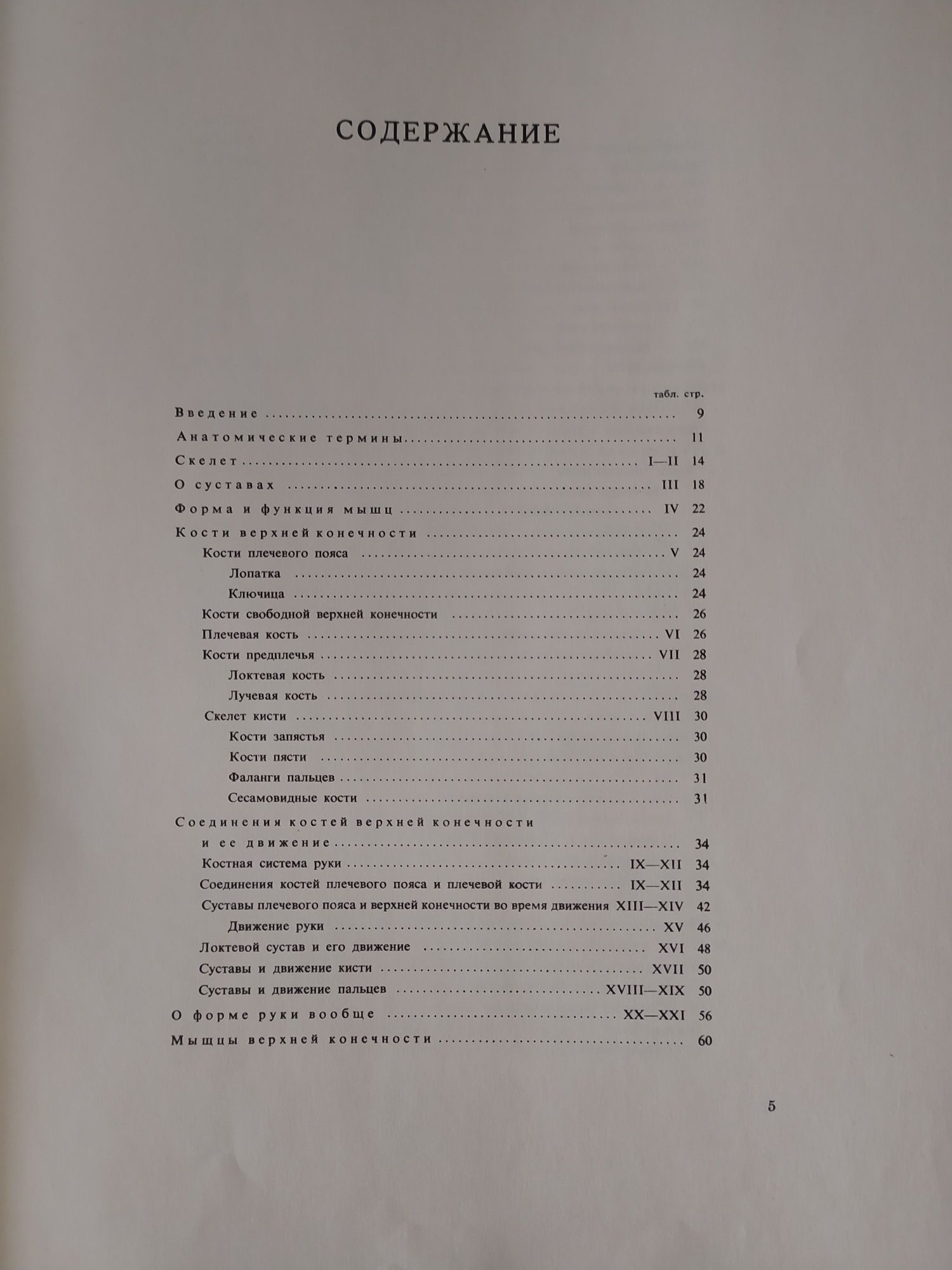 Анатомия для художников
