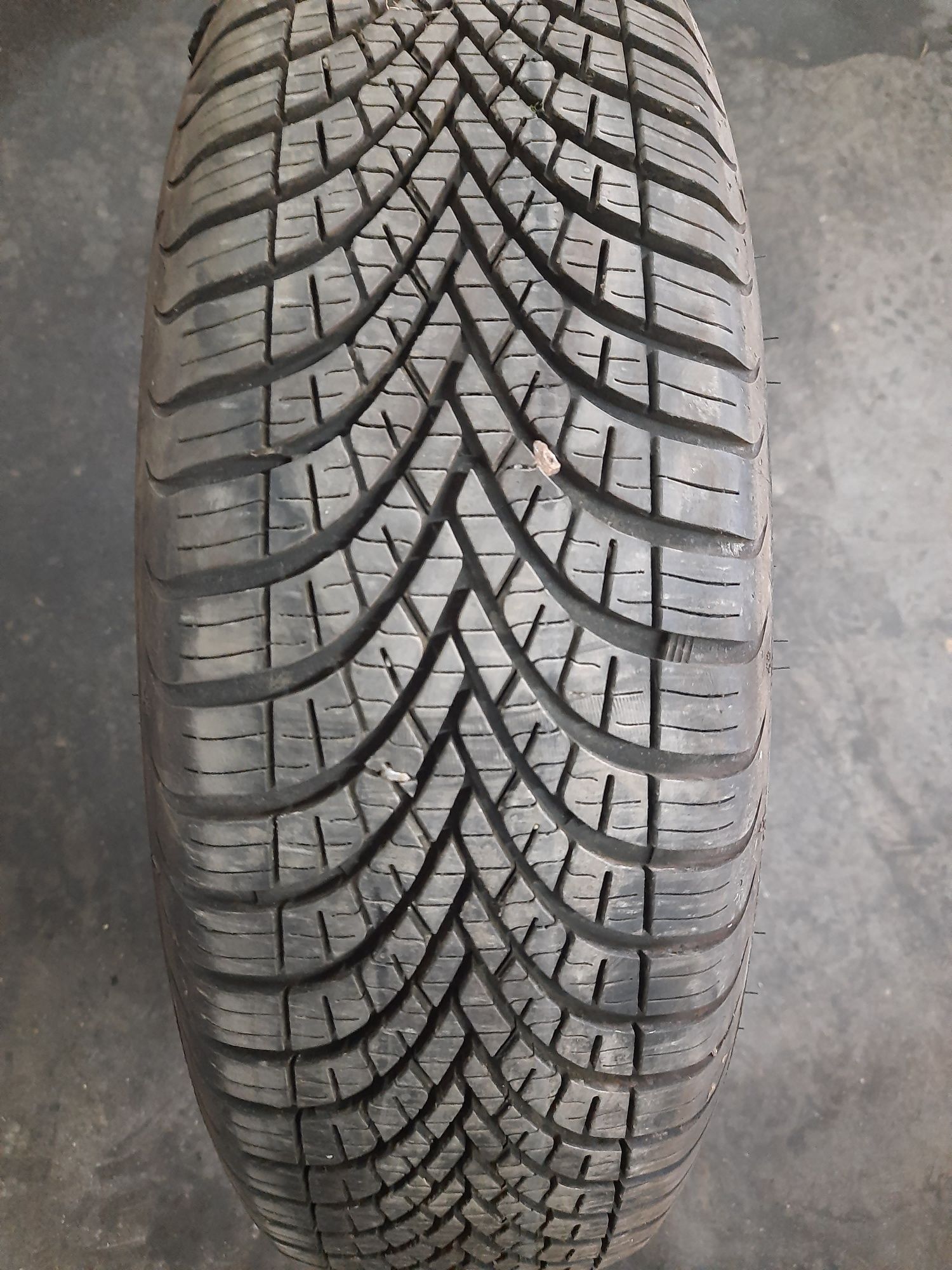 Opona 165/70R14 81T Sava all weather