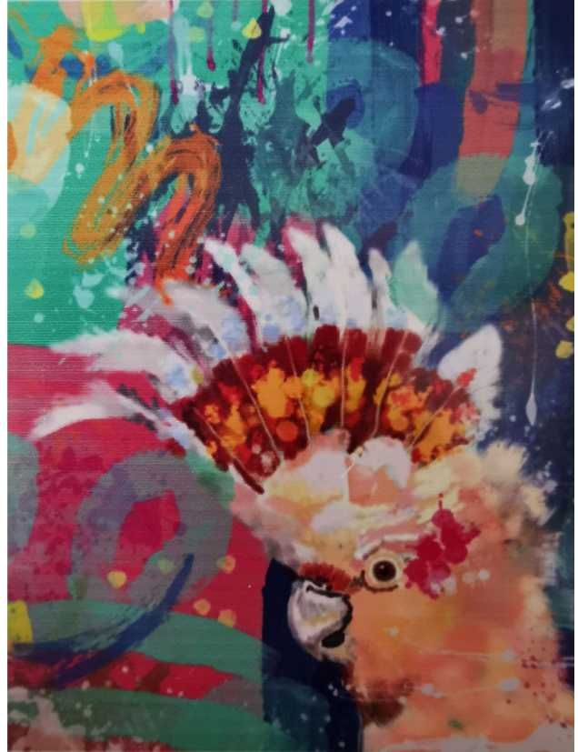 Malowanie Po Numerach Papuga Kakadu 40x50