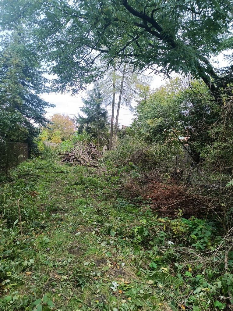 Wycinka drzew, karczowanie i sprzątanie działek