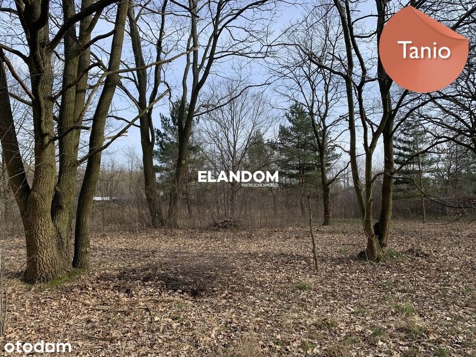 Działki w malowniczym Józefowie