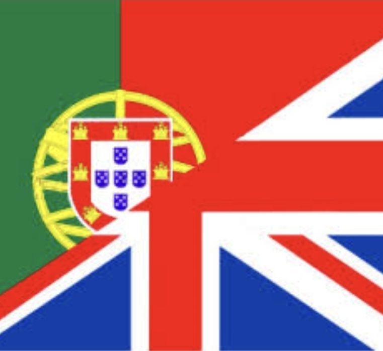 Explicações Português e  Inglês  ONLINE