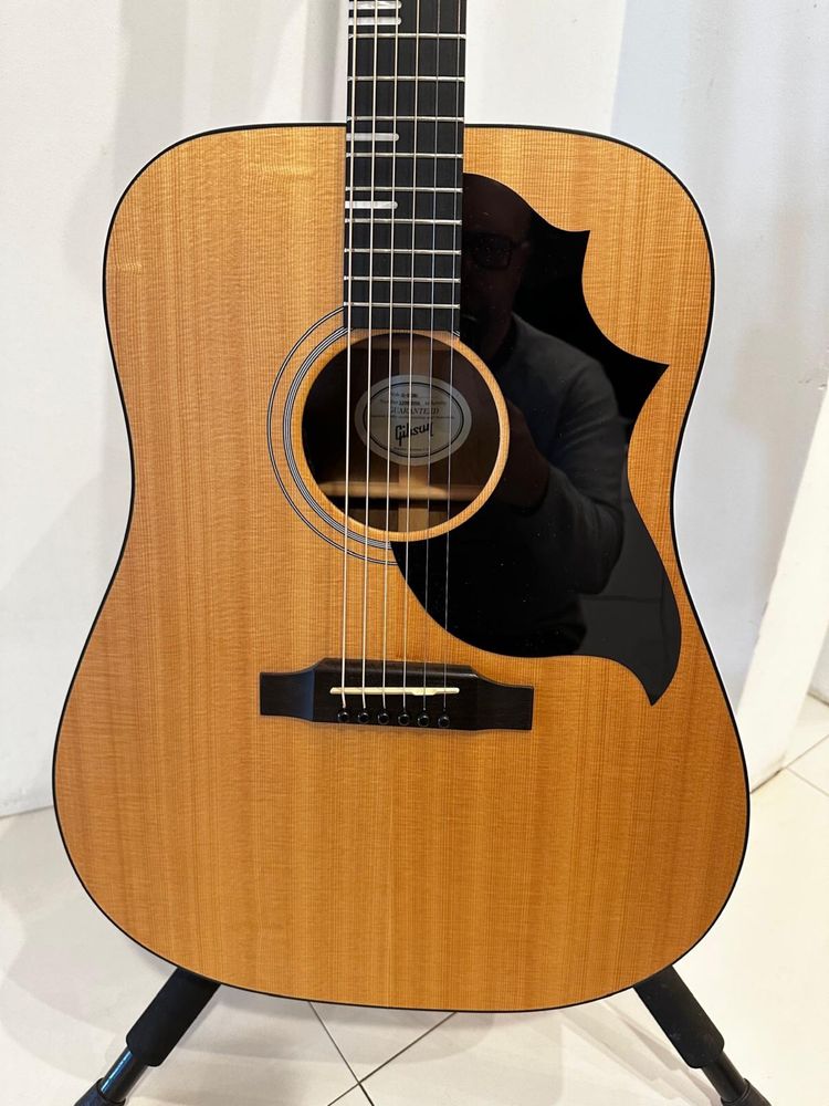 Gibson G-Bird Acoustic New