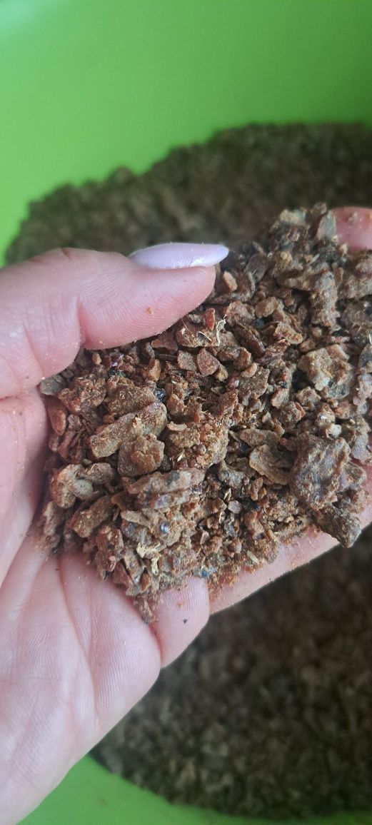 Propolis- kit szczeli