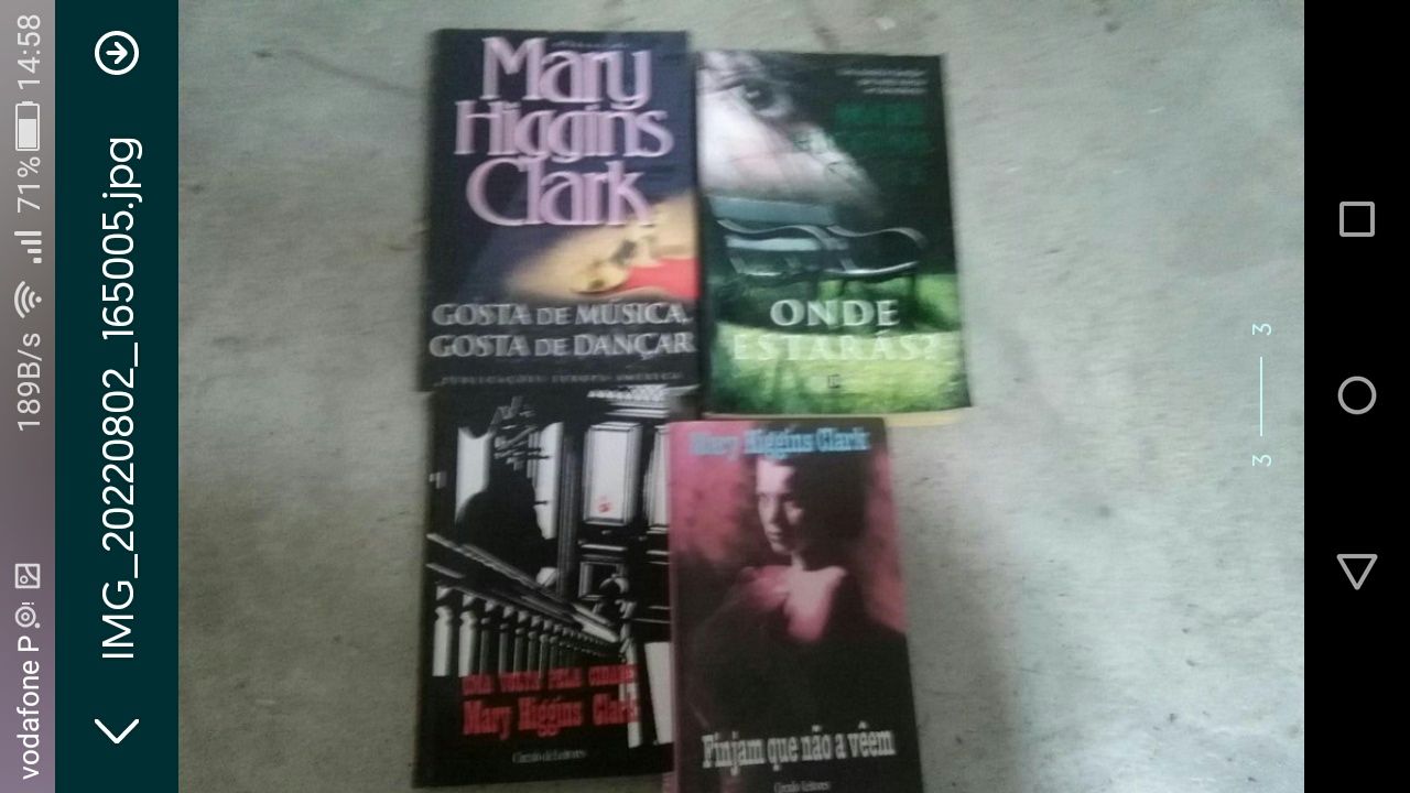 Danielle Steel,Mary Higgins CLark,Gayle Forman,Elisabeth Adler