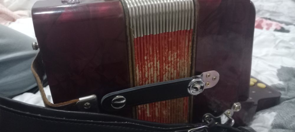 vendo concertina honer