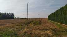 Działka budowlana w Szubinie 756 m/kw