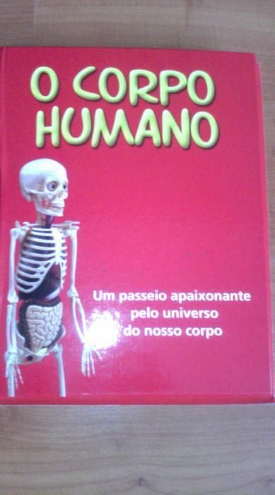 Livro ilustrado - o corpo humano