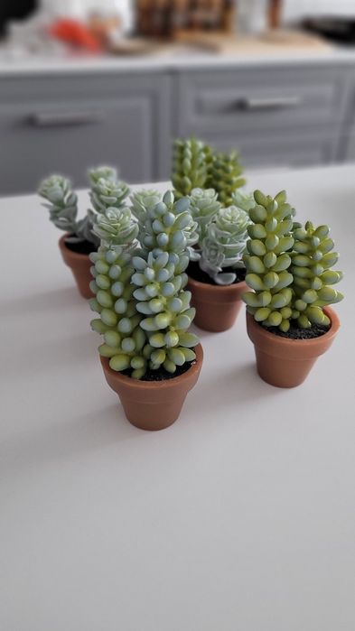 Zestaw 6 sztucznych sukulentów roślin roślinek w doniczkach Home&You