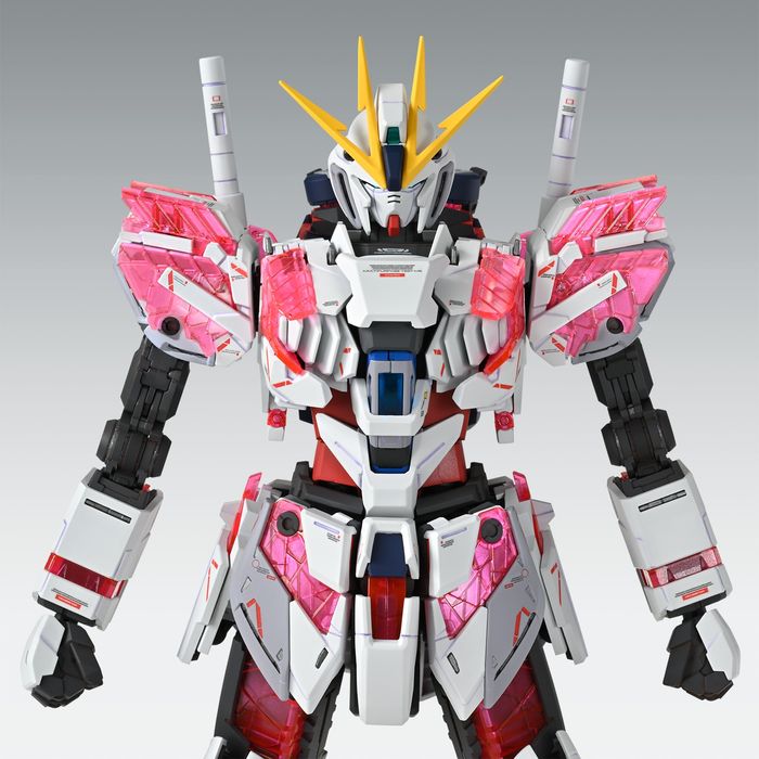 MG RX9/C GUNDAM Narrative C-Pack