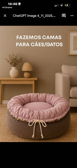 Caminhas para os nossos patudinhos