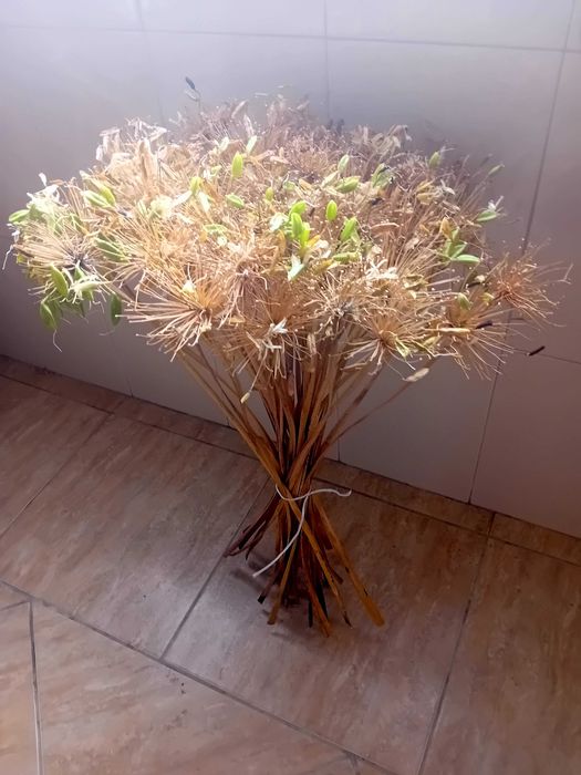 Ramos de flores secas longos para jarra ou jarrao