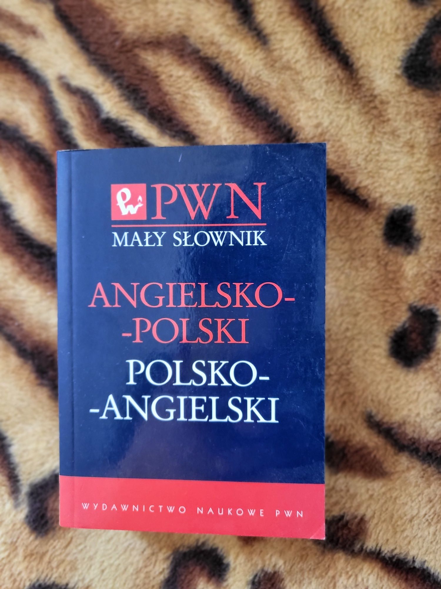 Literatura plus słownik