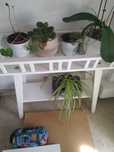 Floreira Ikea branca