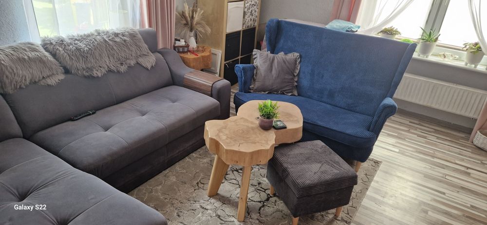 Kanapa uszak, niebieska