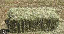 Vendo fardos de azebem de excelente qualidade, alguma dúvida disponha