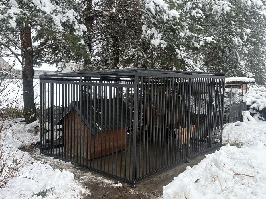 Solidne kojce dla psow