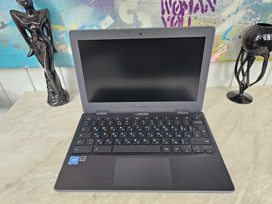 Хромбук Asus C204M