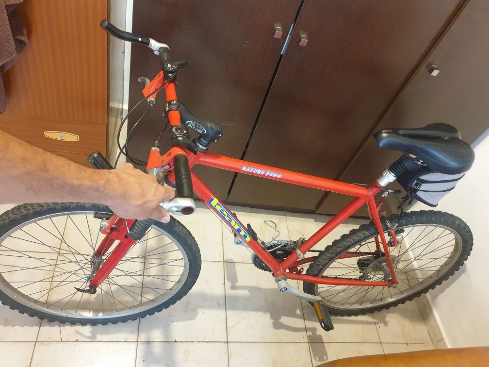 Bicicleta BTT Team Nature F100