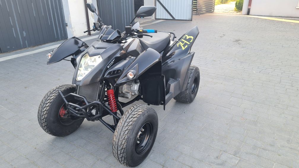 Adly 320 Access lucky star bashan shineray quad