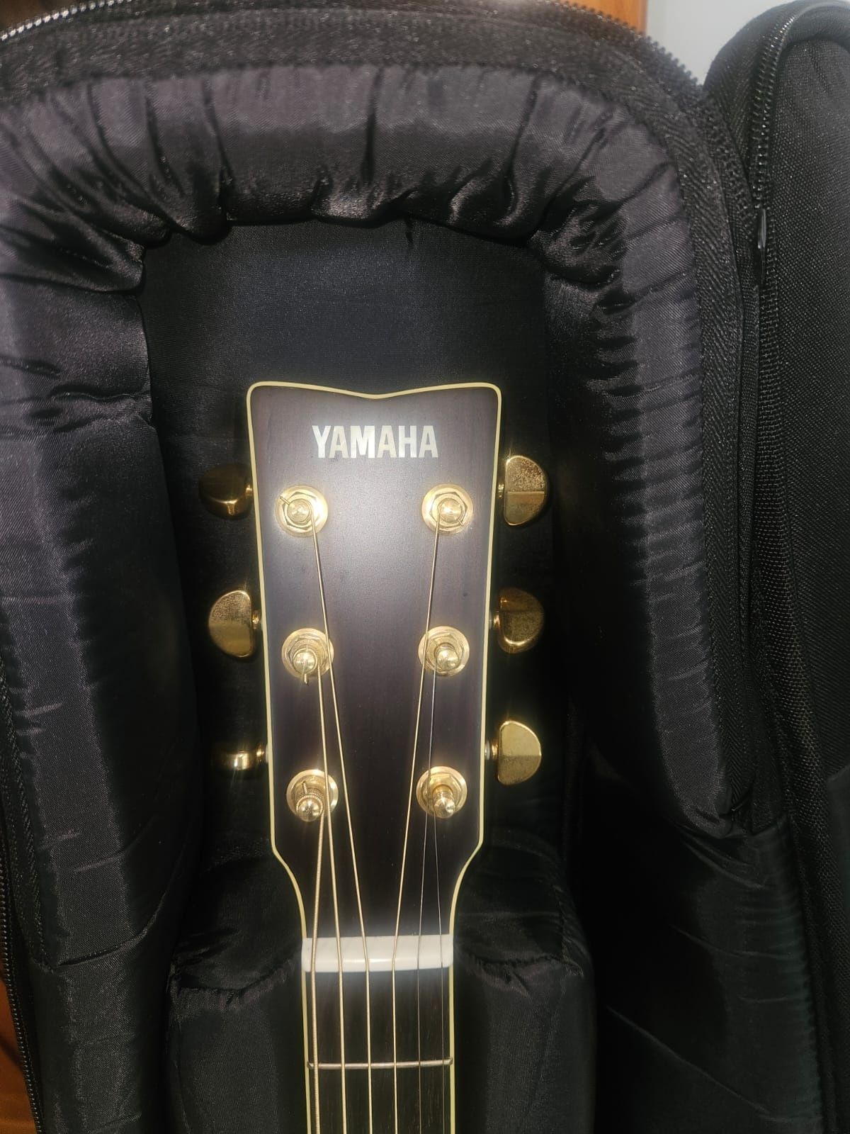 Conjunto guitarra