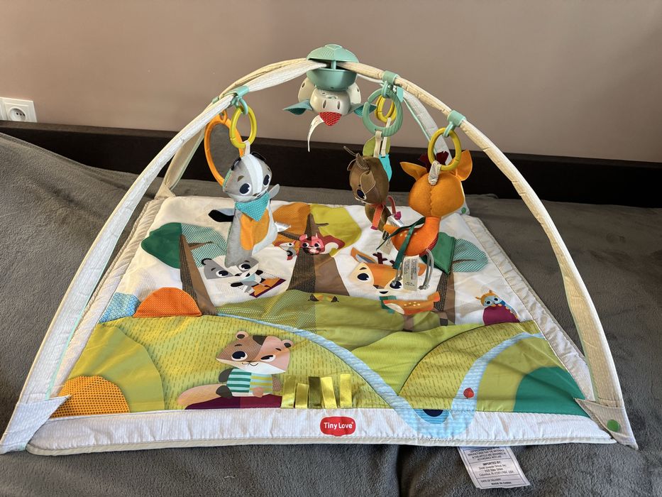 Развивающий коврик с дугами Tiny Love