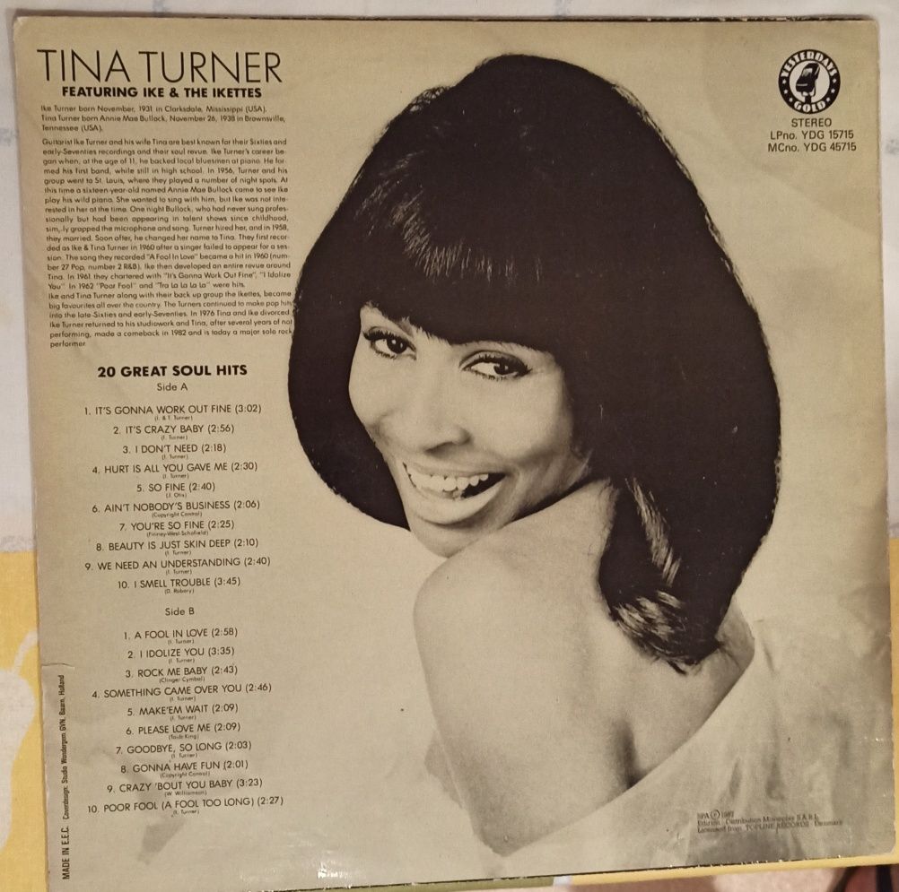 Vendo Vinil (LP) de Tina Turner