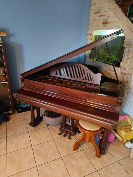 Fortepian Pettersson and Soon