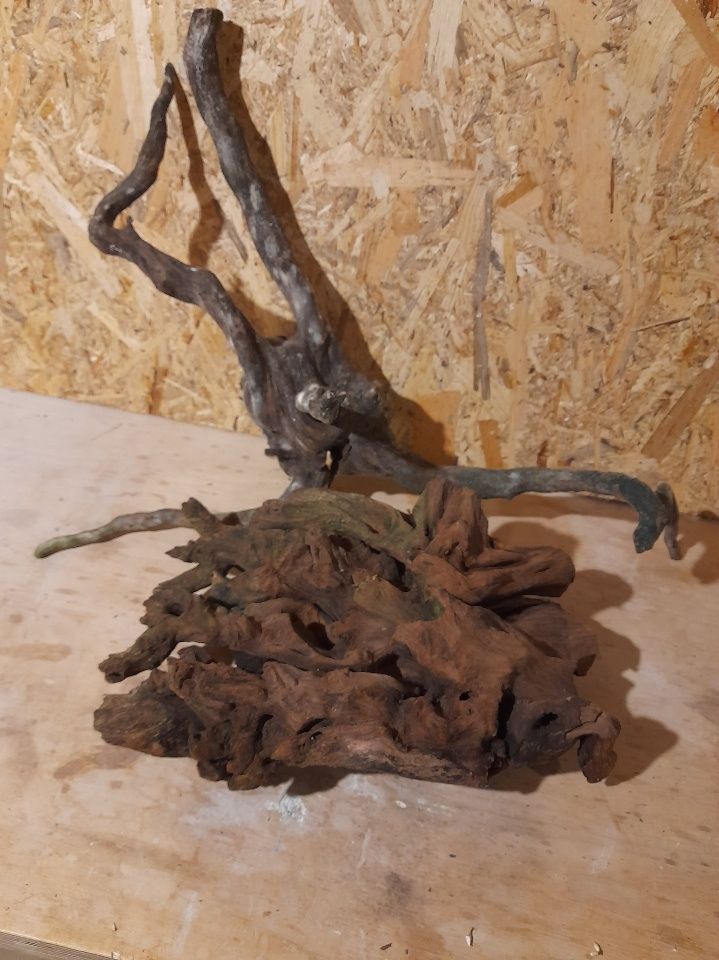 Korzenie do akwarium