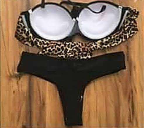 Bikinis com estampa em leopardo ( Novos) - M