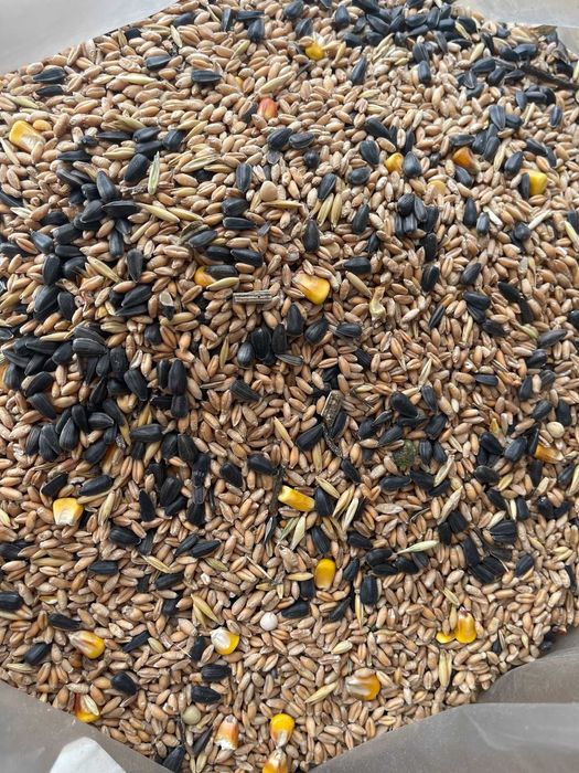 Karma Ziarna dla ptaków uniwersalna dla dzikich ptaków 1,10kg