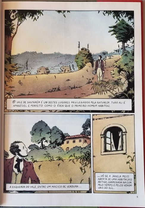 Joaninha dos Olhos Verdes BD