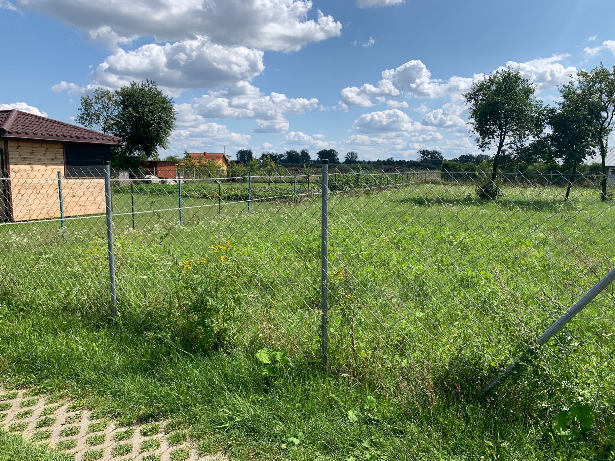 Działka ROD Zamość (Zacisze)