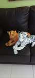 Peluches Tigres muito bonitos