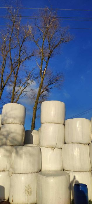 Sianokiszonka tegoroczna 2024