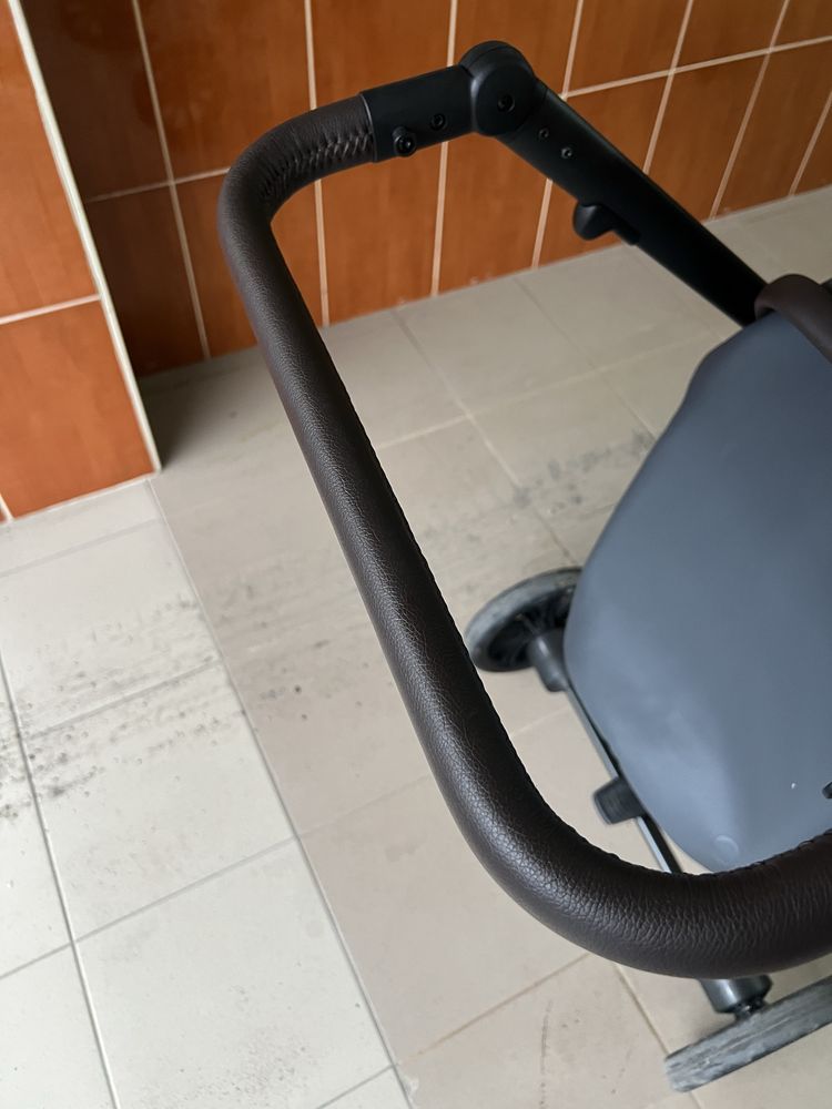 Коляска Anex e/type Eden 2в1