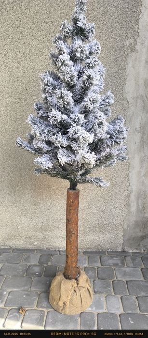 Choinka na pniu 150cm