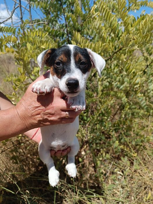 Полностью привита девочка