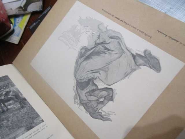 Maria Lamas As mulheres do meu pais fisculo um por abrir