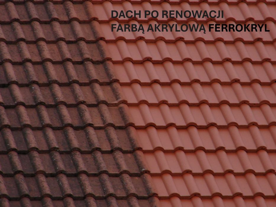 Farba akrylowa FERROKOLOR pojemność 20L